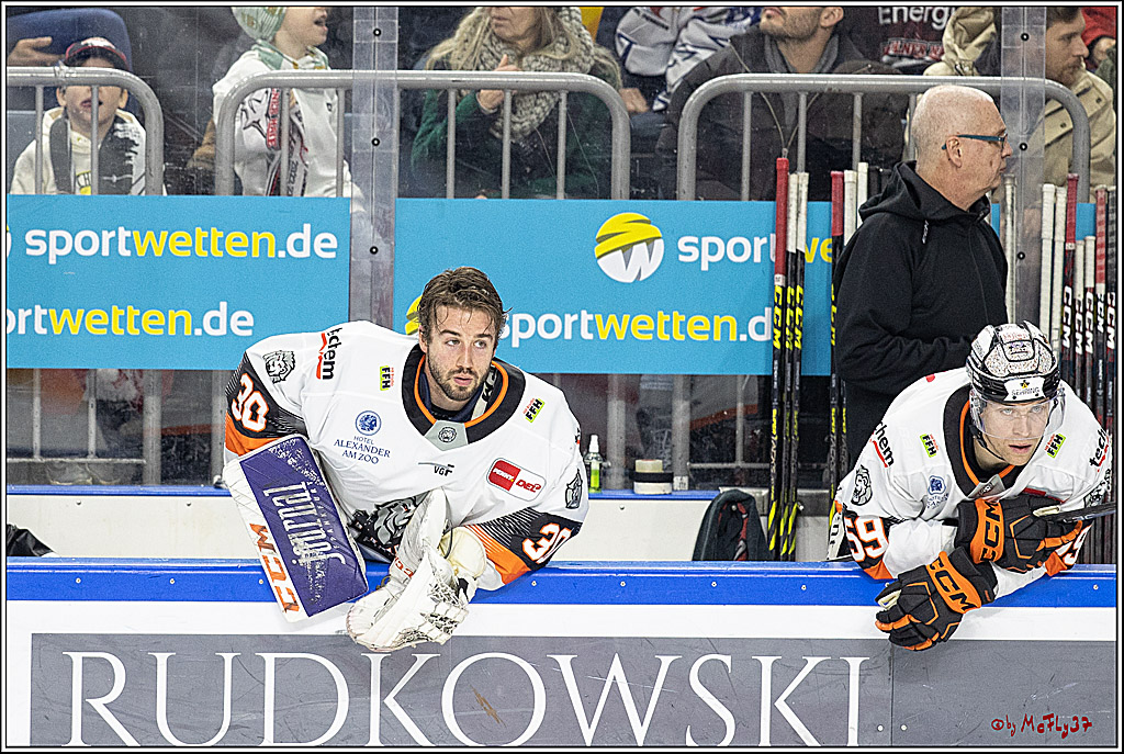 PENNY DEL;  Kölner Haie - Loewen Frankfurt; Köln, 18.12.2022